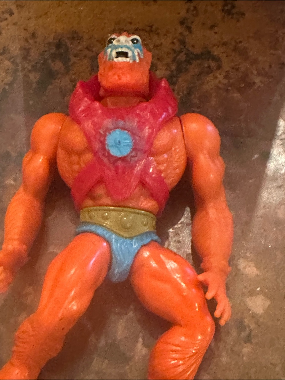 Motu - Picture 7 of 11